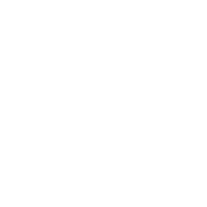 Digital Drone Logo